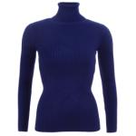 Navy Blue Ribbed Polo Neck Clingy Jumper
