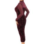 Wine Velvet Sequin and Mesh Midi Dress
